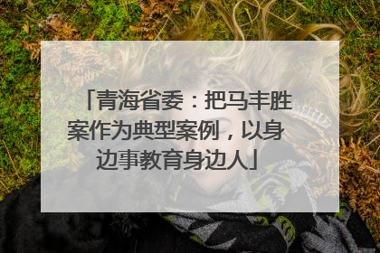 青海省委：把马丰胜案作为典型案例，以身边事教育身边人